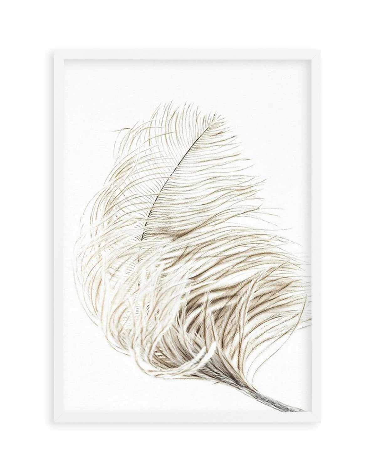 Plume Art Print