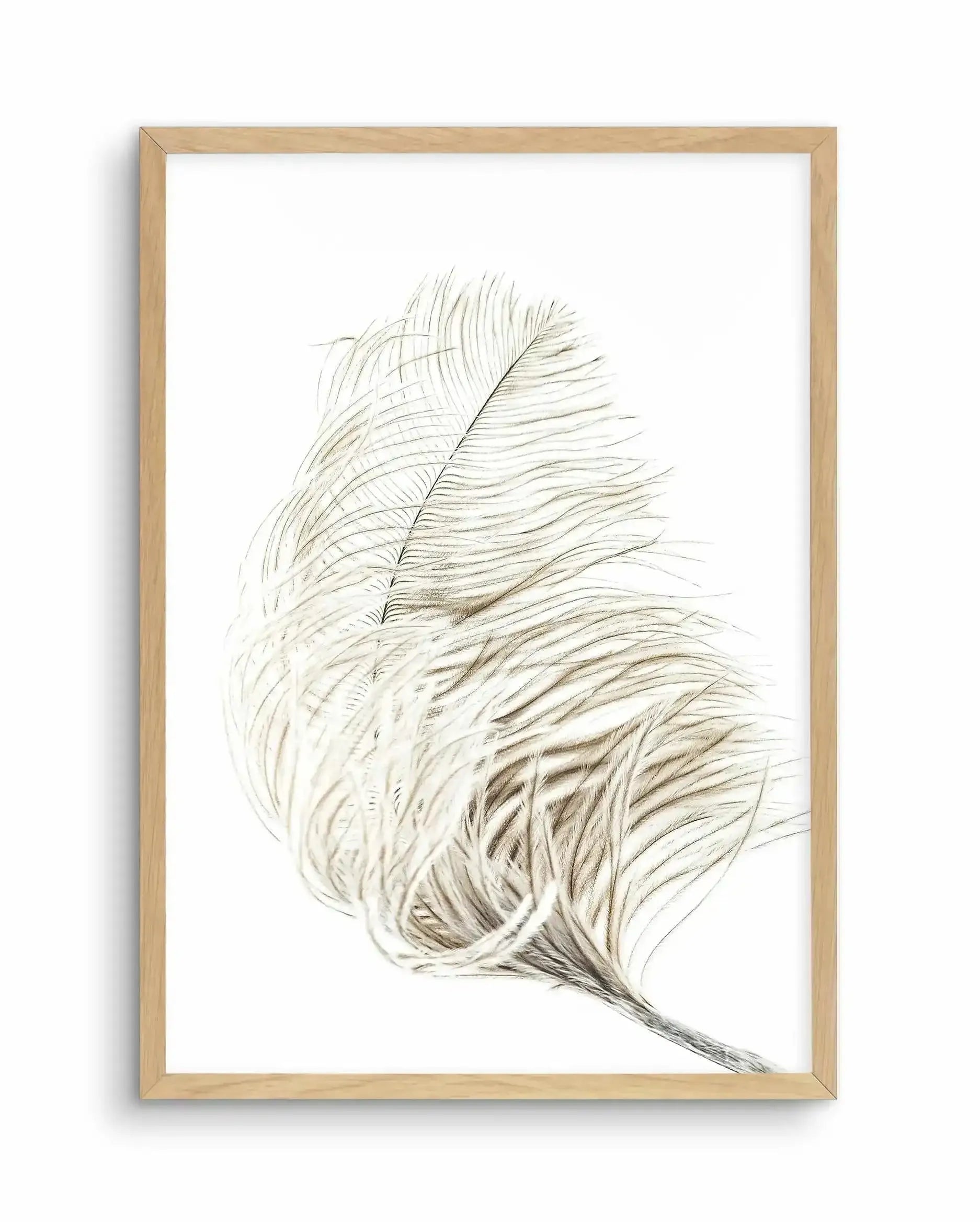Plume Art Print-Buy-Bohemian-Wall-Art-Print-And-Boho-Pictures-from-Olive-et-Oriel-Bohemian-Wall-Art-Print-And-Boho-Pictures-And-Also-Boho-Abstract-Art-Paintings-On-Canvas-For-A-Girls-Bedroom-Wall-Decor-Collection-of-Boho-Style-Feminine-Art-Poster-and-Framed-Artwork-Update-Your-Home-Decorating-Style-With-These-Beautiful-Wall-Art-Prints-Australia