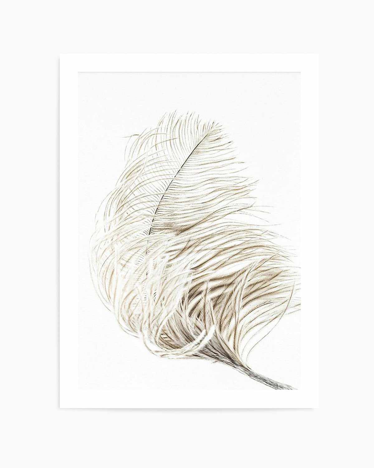 Plume Art Print