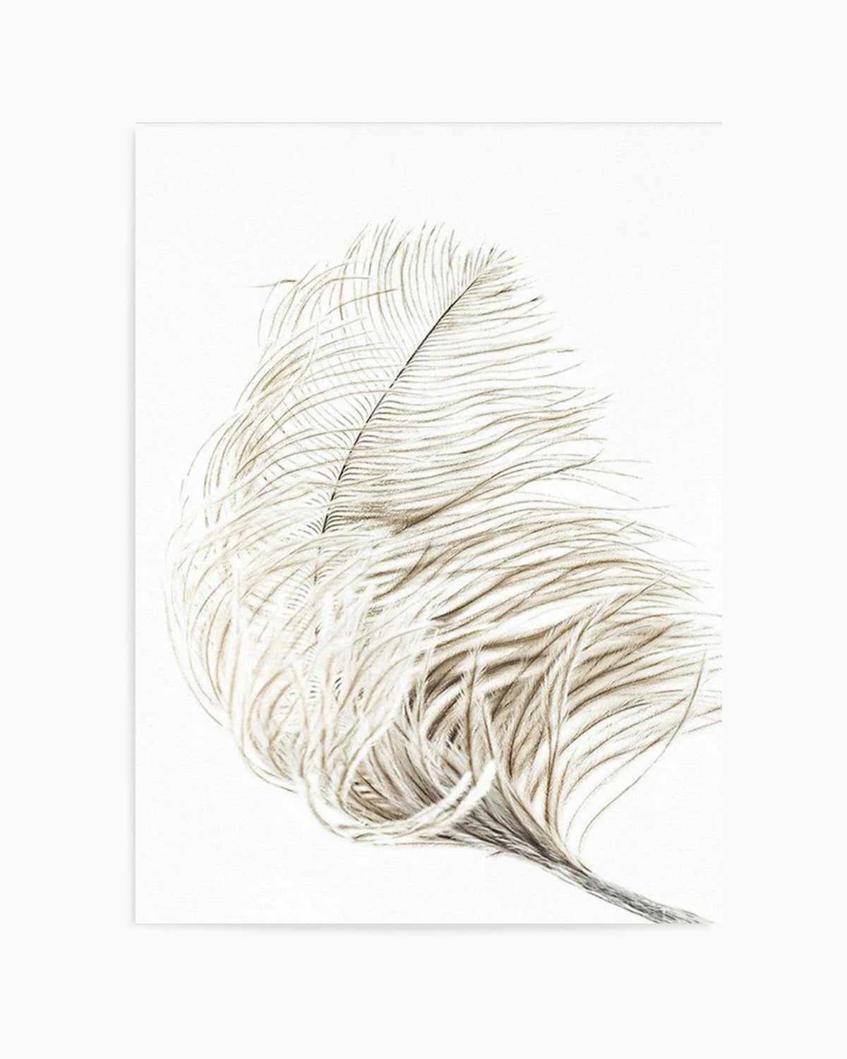 Plume Art Print