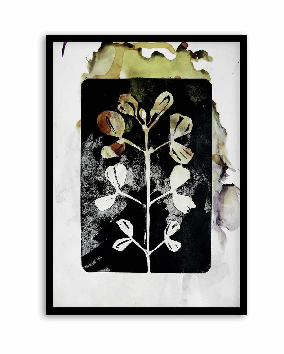 Poetic Botanicals by Doris Schmitz | Art Print from Olive et Oriel where you can shop wallpaper and artworks online
