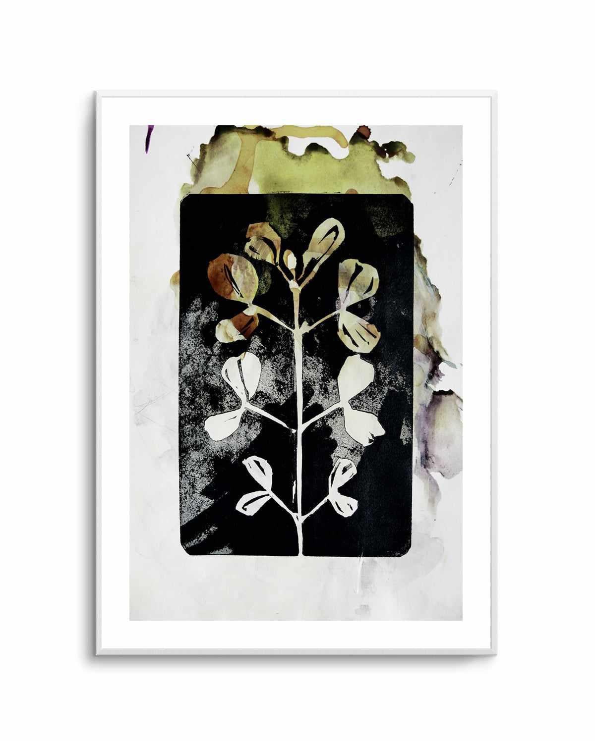 Poetic Botanicals by Doris Schmitz | Art Print from Olive et Oriel where you can shop wallpaper and artworks online