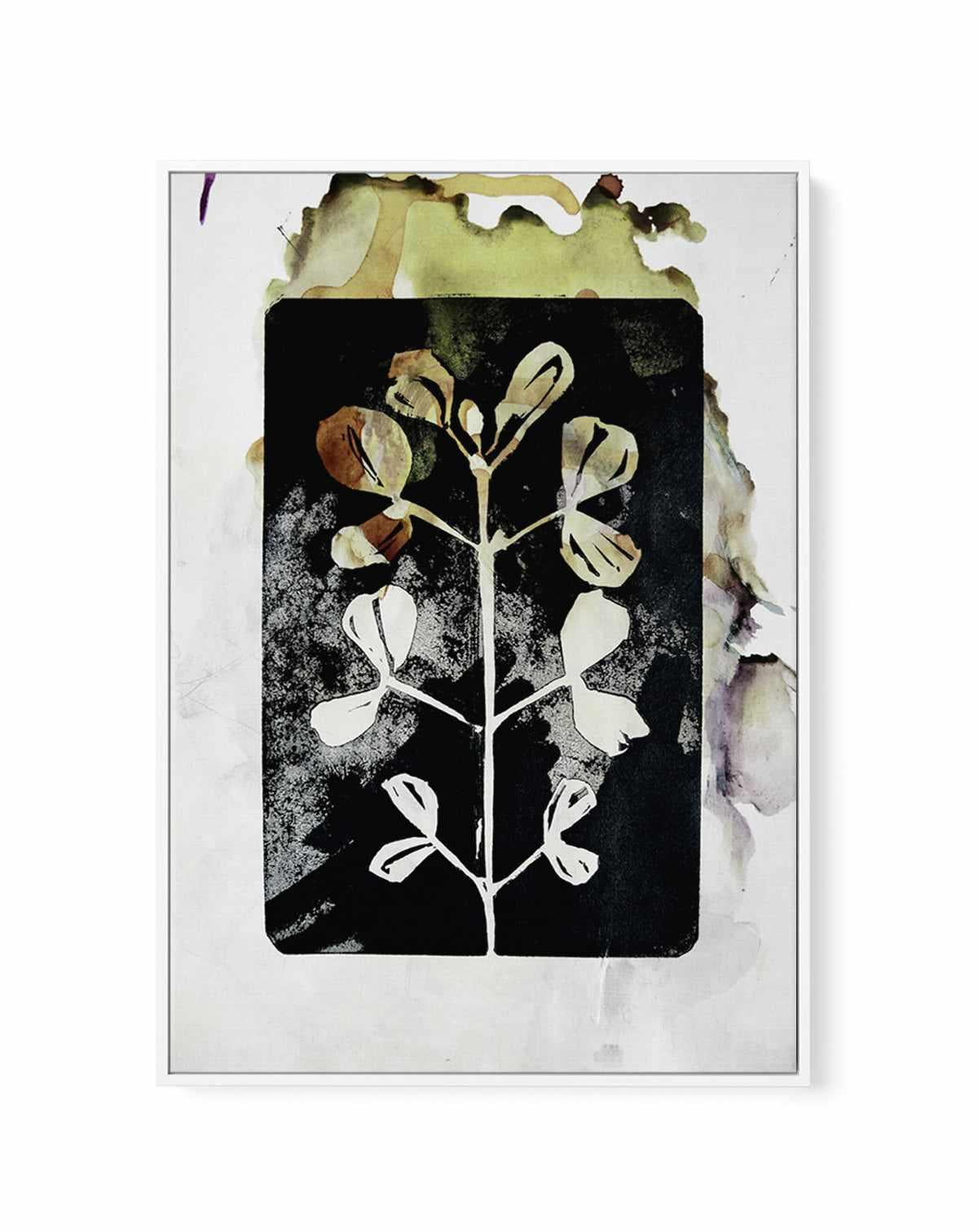 Poetic Botanicals by Doris Schmitz | Framed Canvas Art Print from Olive et Oriel where you can shop wallpaper and artworks online