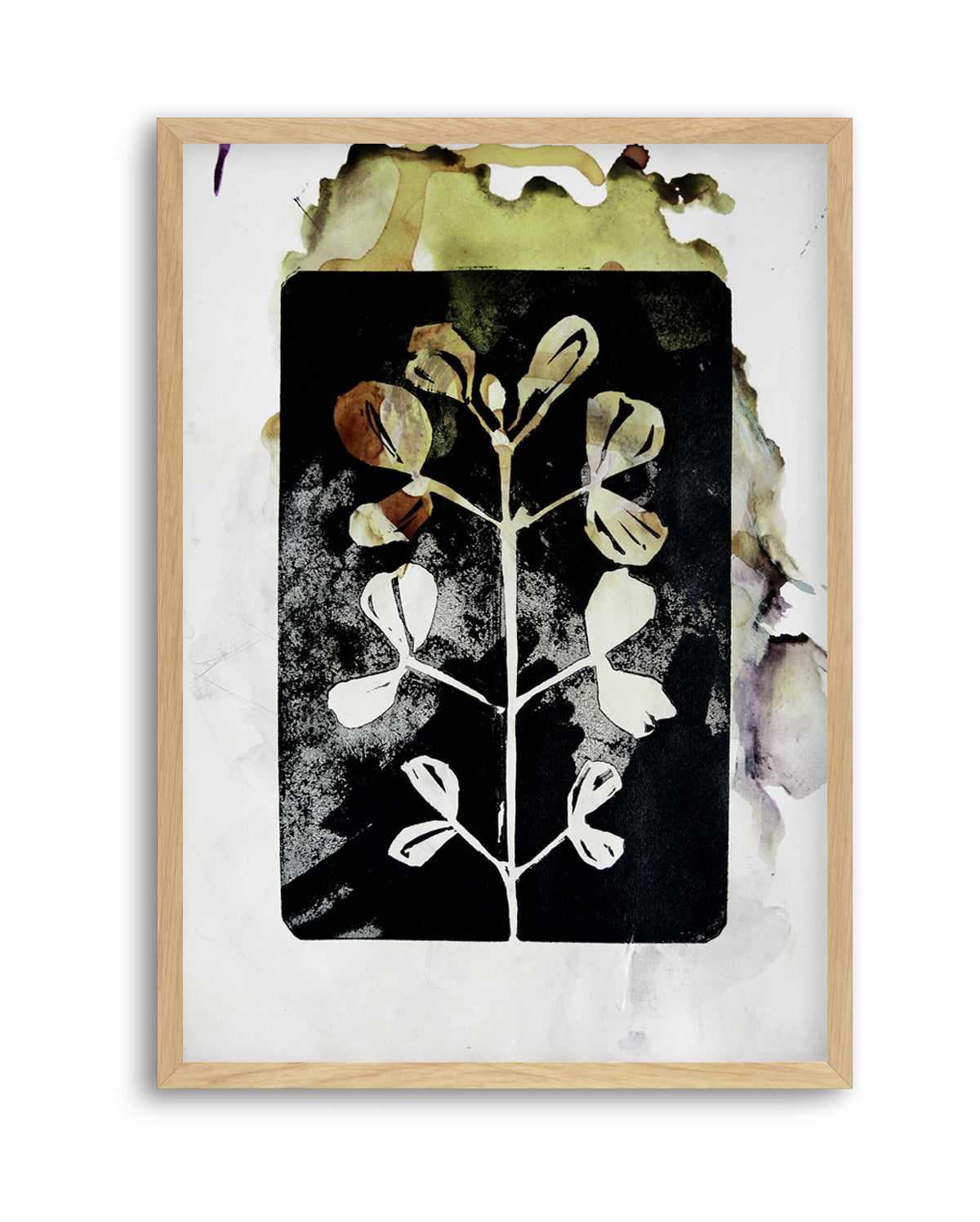 Poetic Botanicals by Doris Schmitz | Art Print from Olive et Oriel where you can shop wallpaper and artworks online