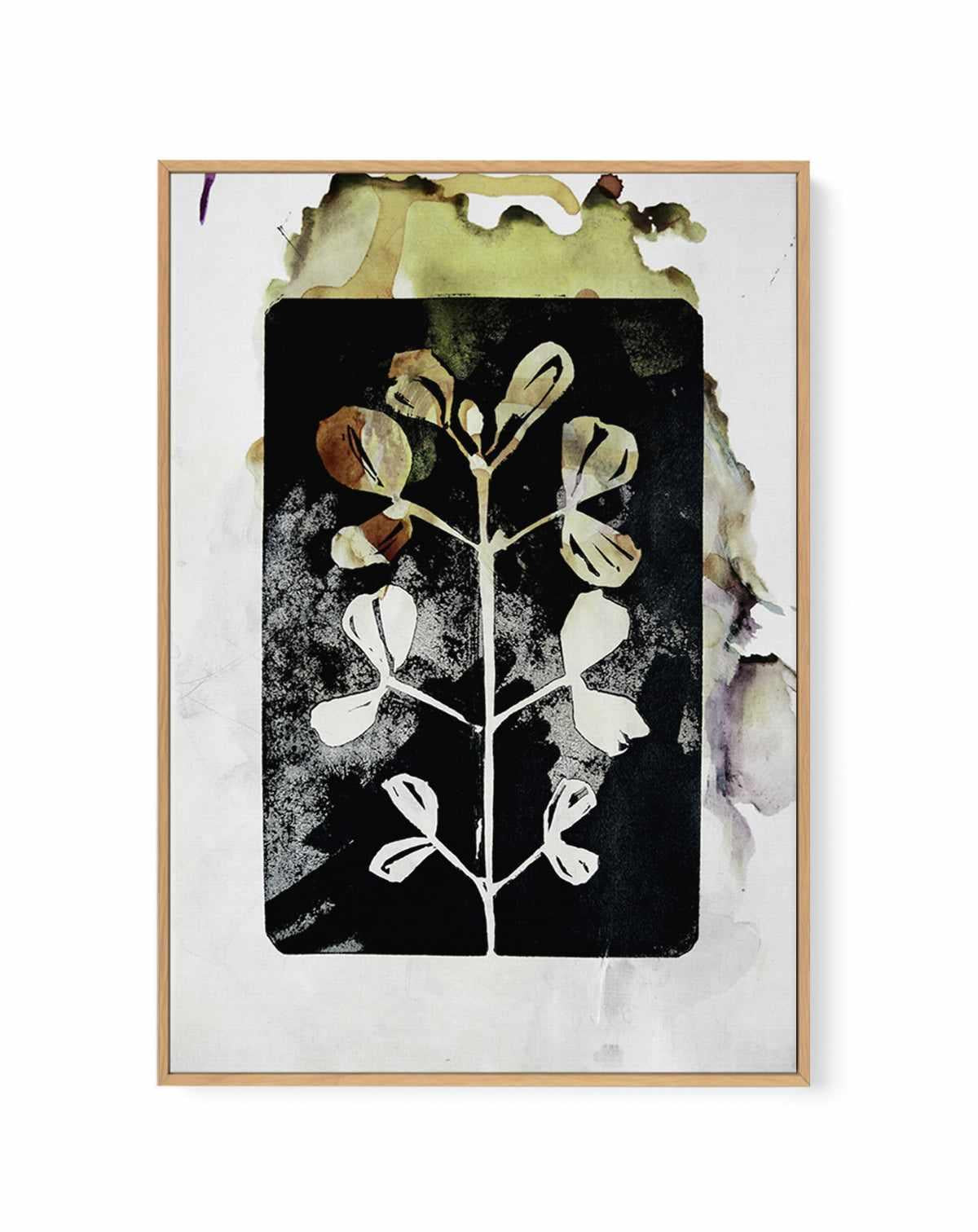 Poetic Botanicals by Doris Schmitz | Framed Canvas Art Print from Olive et Oriel where you can shop wallpaper and artworks online