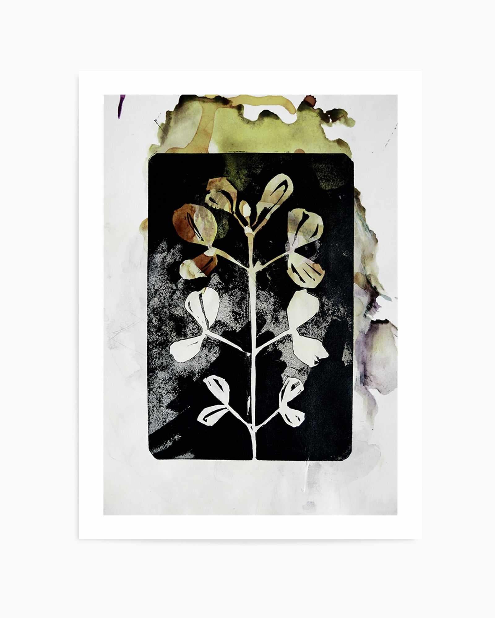 Poetic Botanicals by Doris Schmitz | Art Print from Olive et Oriel where you can shop wallpaper and artworks online