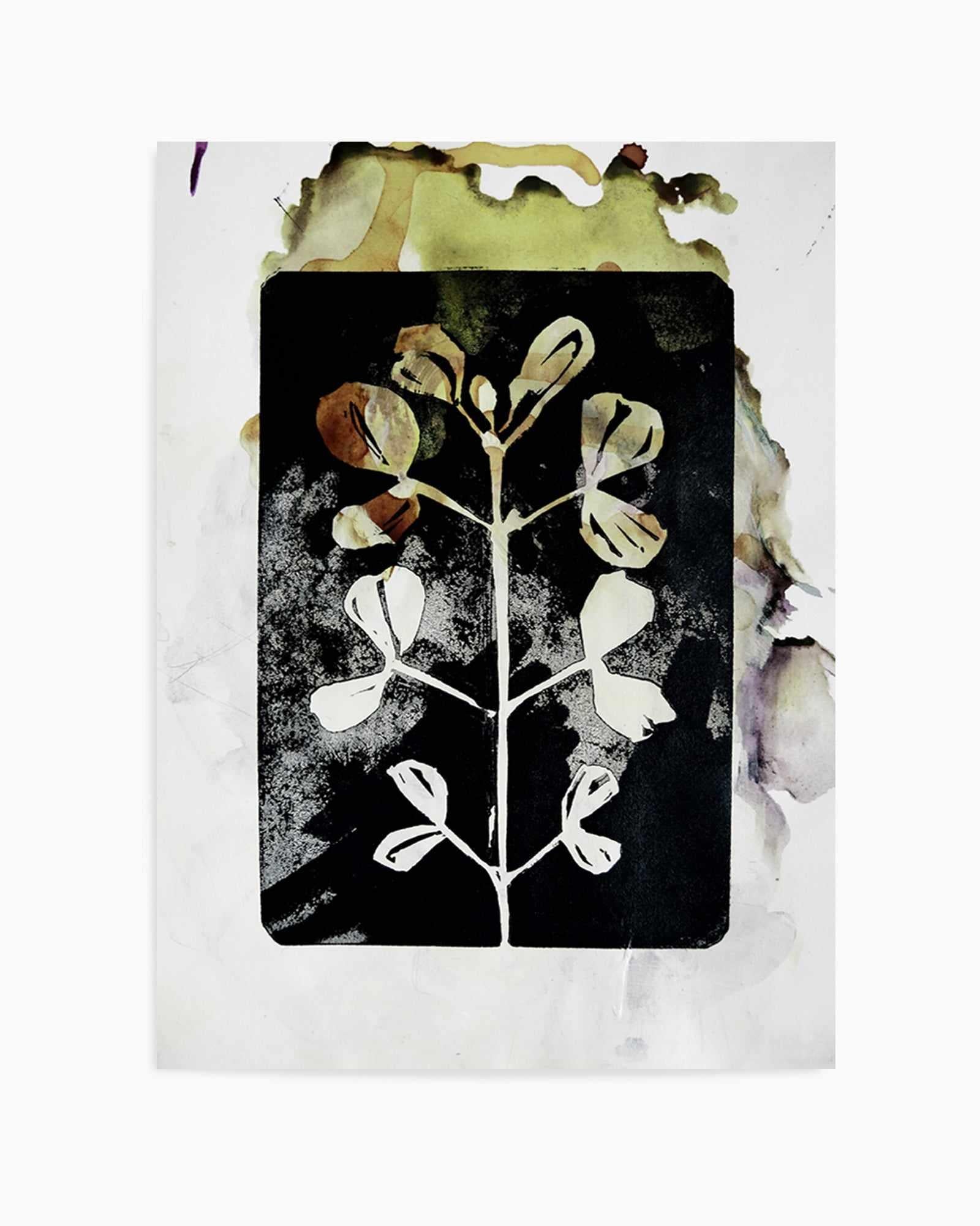 Poetic Botanicals by Doris Schmitz | Art Print from Olive et Oriel where you can shop wallpaper and artworks online