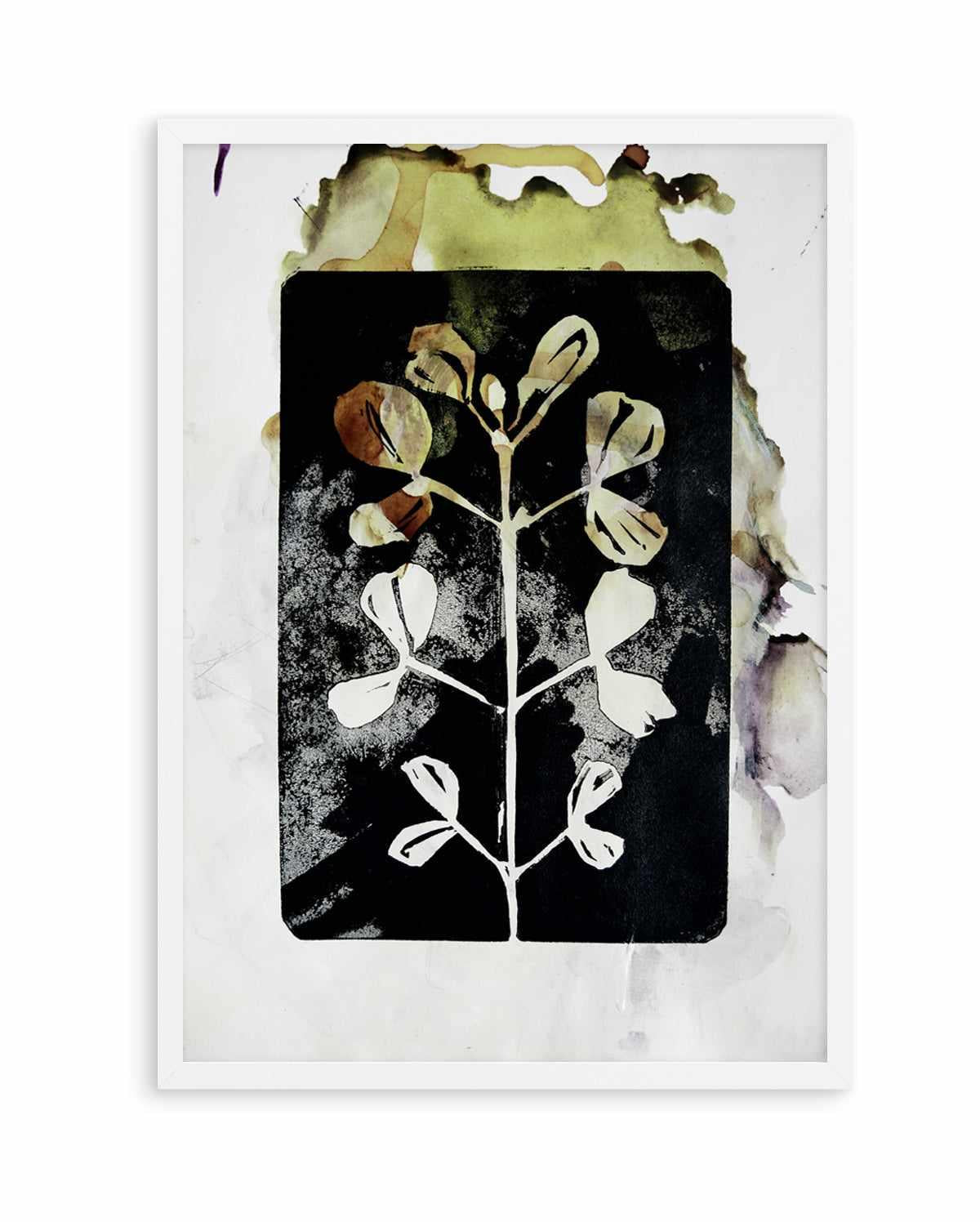 Poetic Botanicals by Doris Schmitz | Art Print from Olive et Oriel where you can shop wallpaper and artworks online