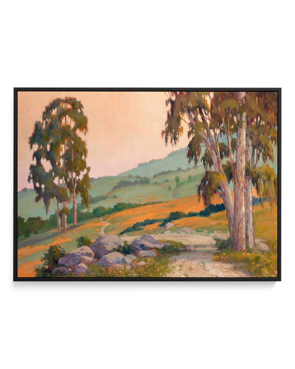 Poppy Hill Path by Ed Penniman | Framed Canvas Art Print