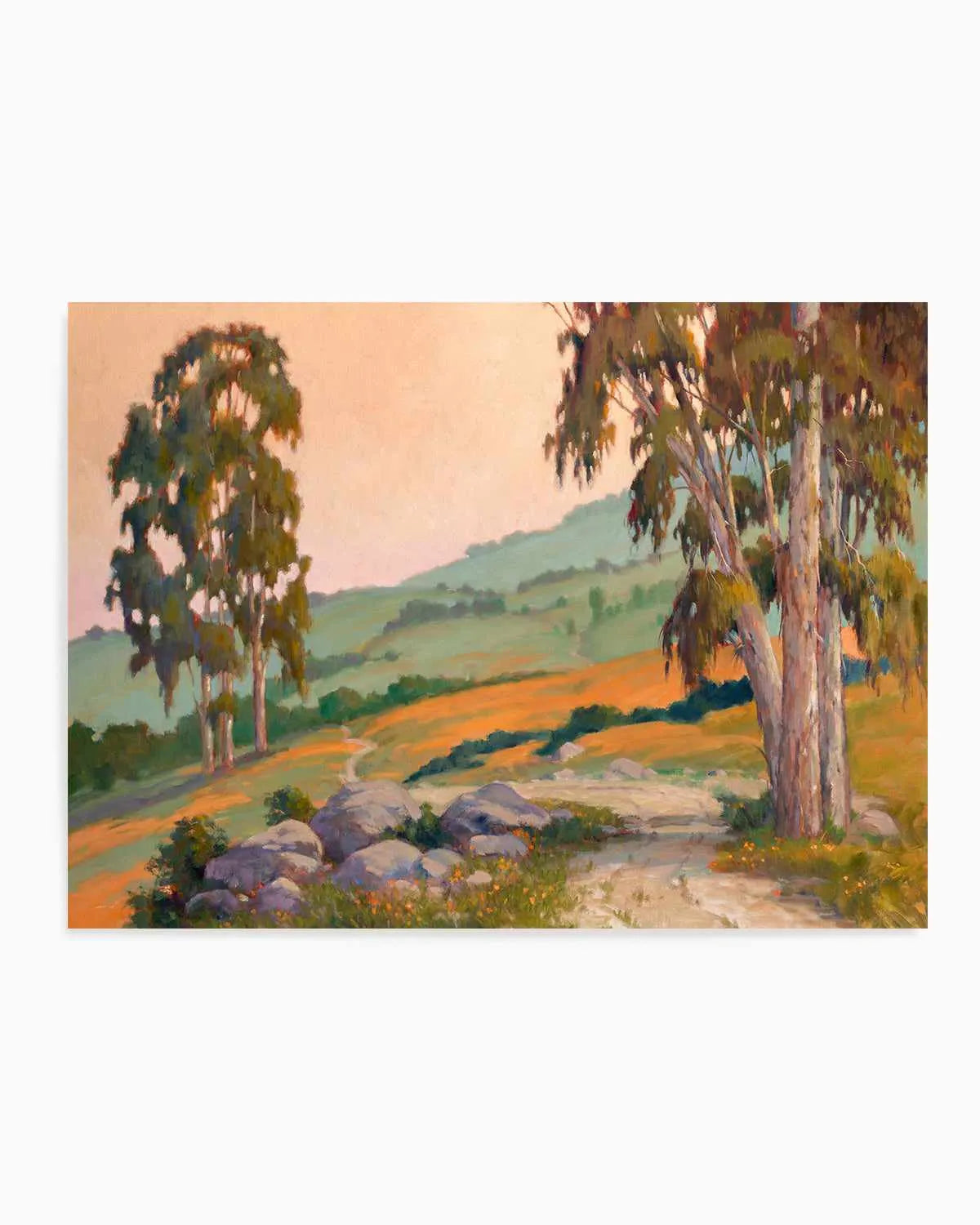 Poppy Hill Path by Ed Penniman Art Print from Olive et Oriel where you can shop wallpaper and artworks online