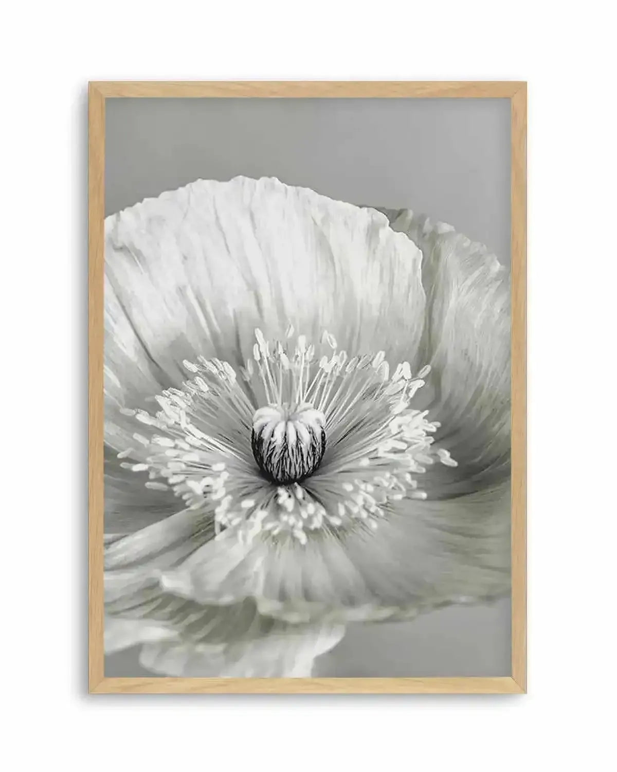 Poppy I | B&W Art Print from Olive et Oriel where you can shop wallpaper and artworks online