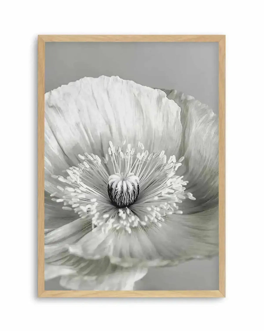 Poppy I | B&W Art Print from Olive et Oriel where you can shop wallpaper and artworks online