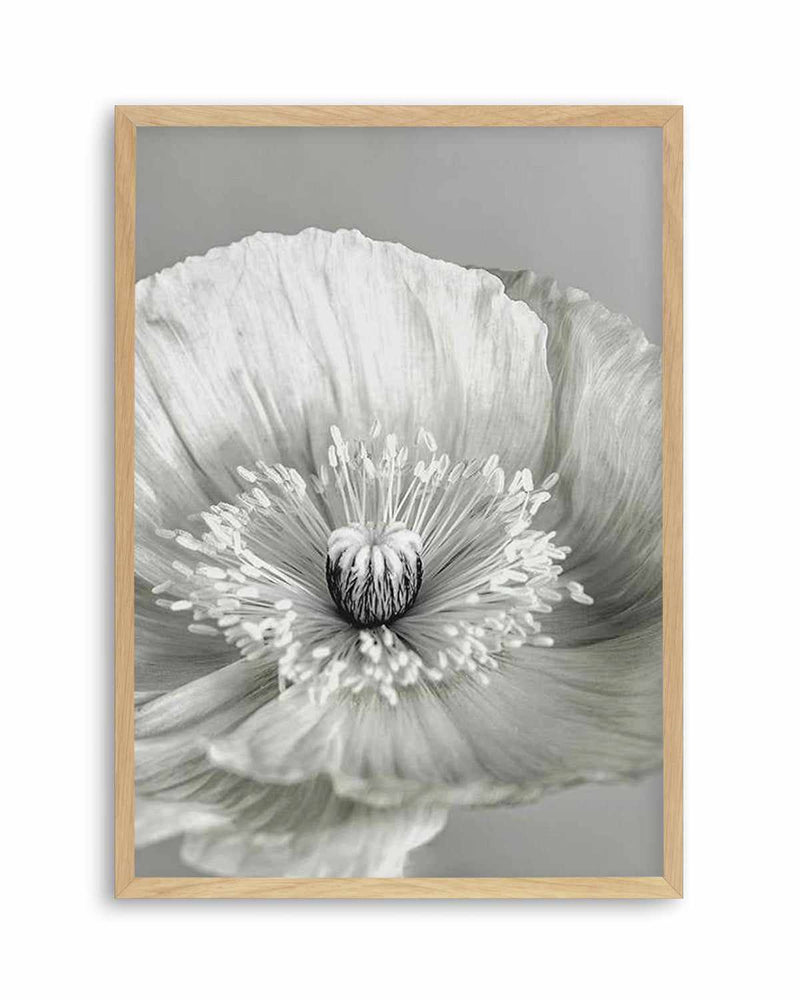 Poppy I | B&W Art Print