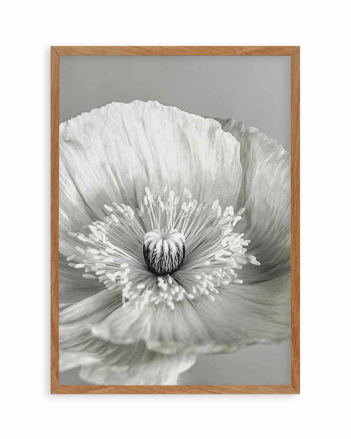 Poppy I | B&W Art Print