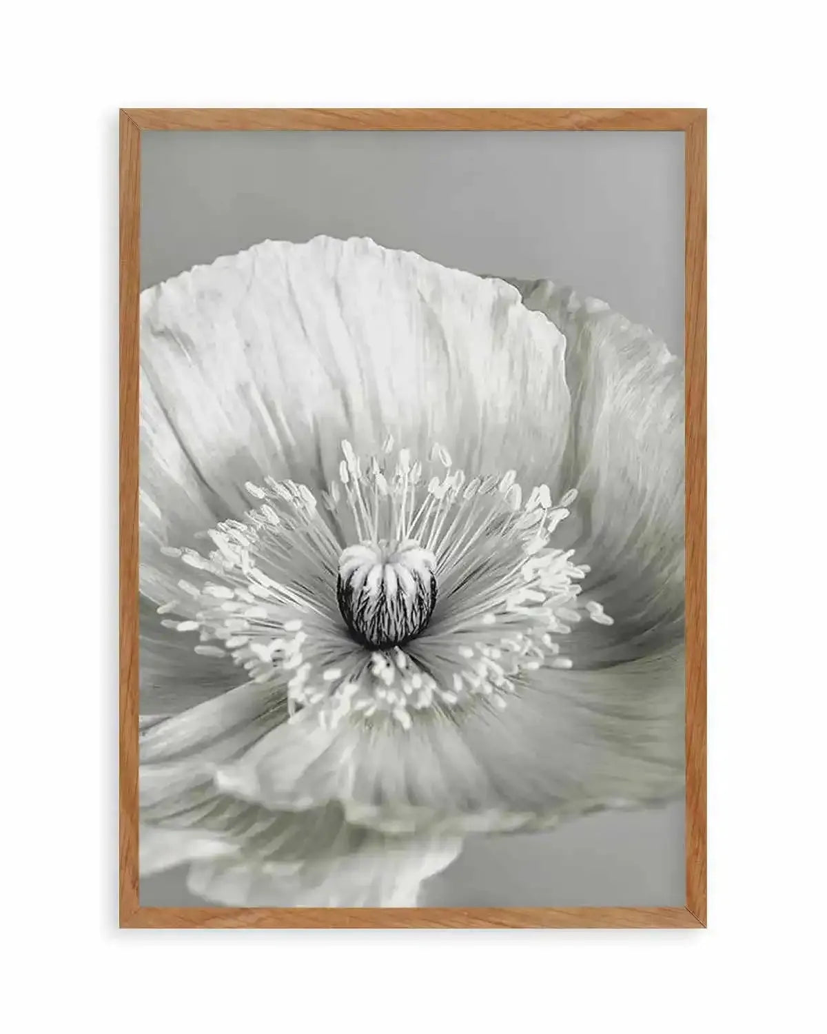 Poppy I | B&W Art Print from Olive et Oriel where you can shop wallpaper and artworks online