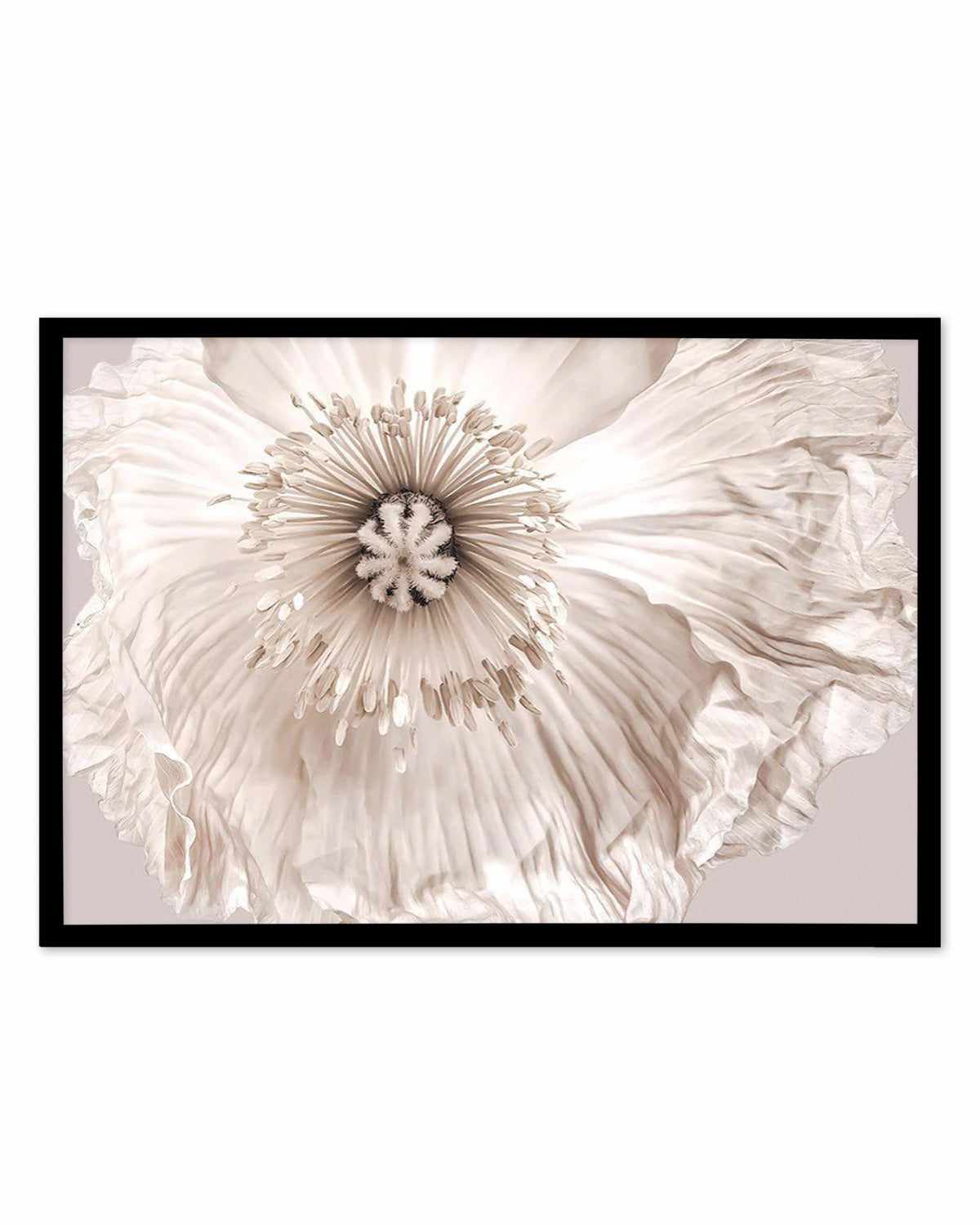 Poppy Lumiere Art Print