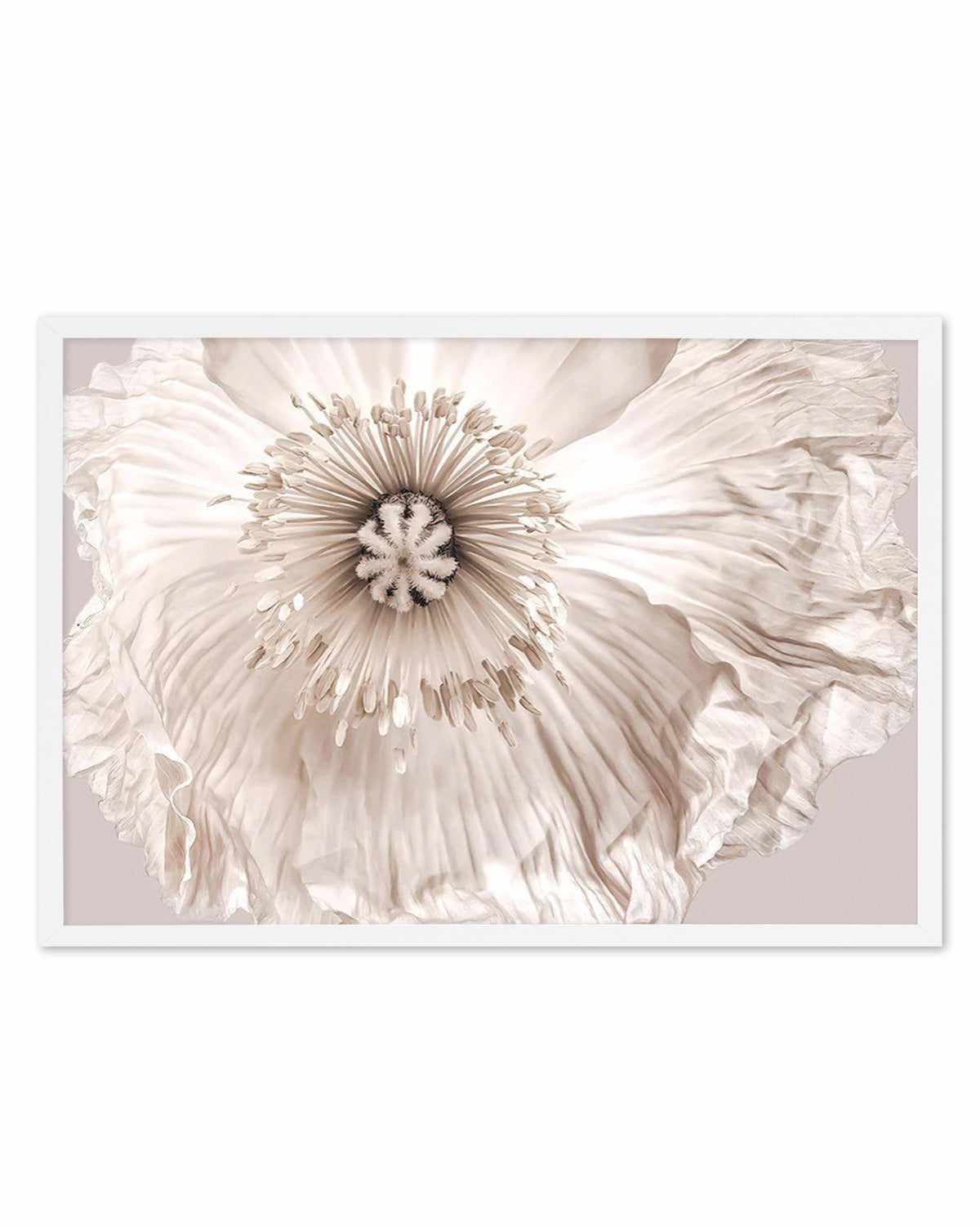 Poppy Lumiere Art Print