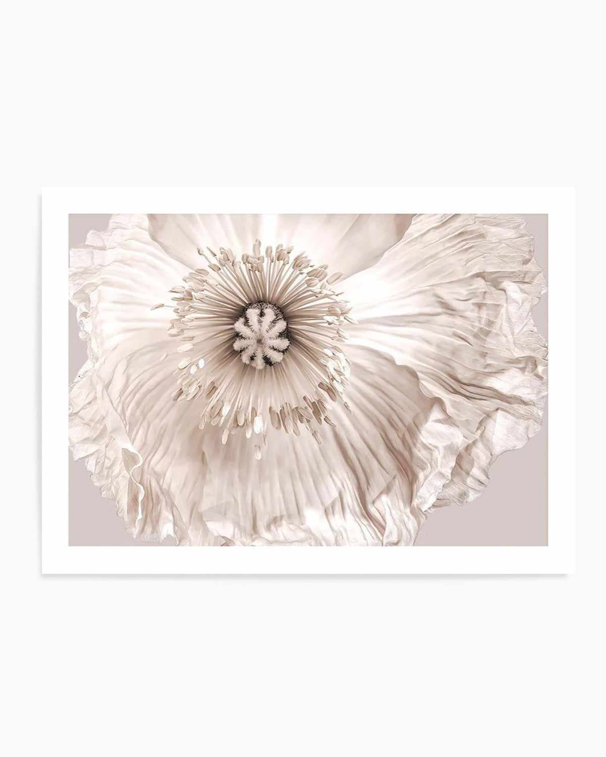 Poppy Lumiere Art Print