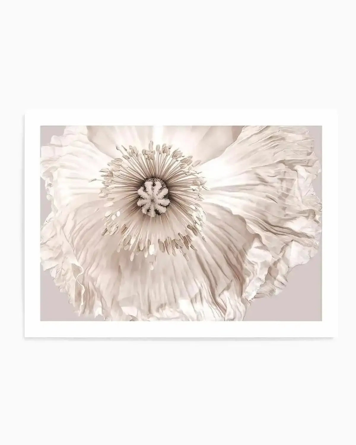 Poppy Lumiere Art Print from Olive et Oriel where you can shop wallpaper and artworks online