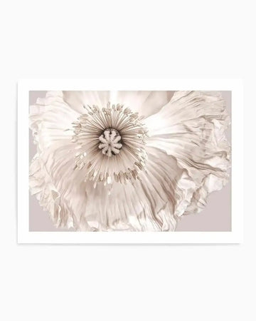 Framed photography art print of a close-up white poppy flower with delicate, ruffled petals and a detailed stamen and pistil at its center, against a soft, muted beige background, with a white frame and white border.