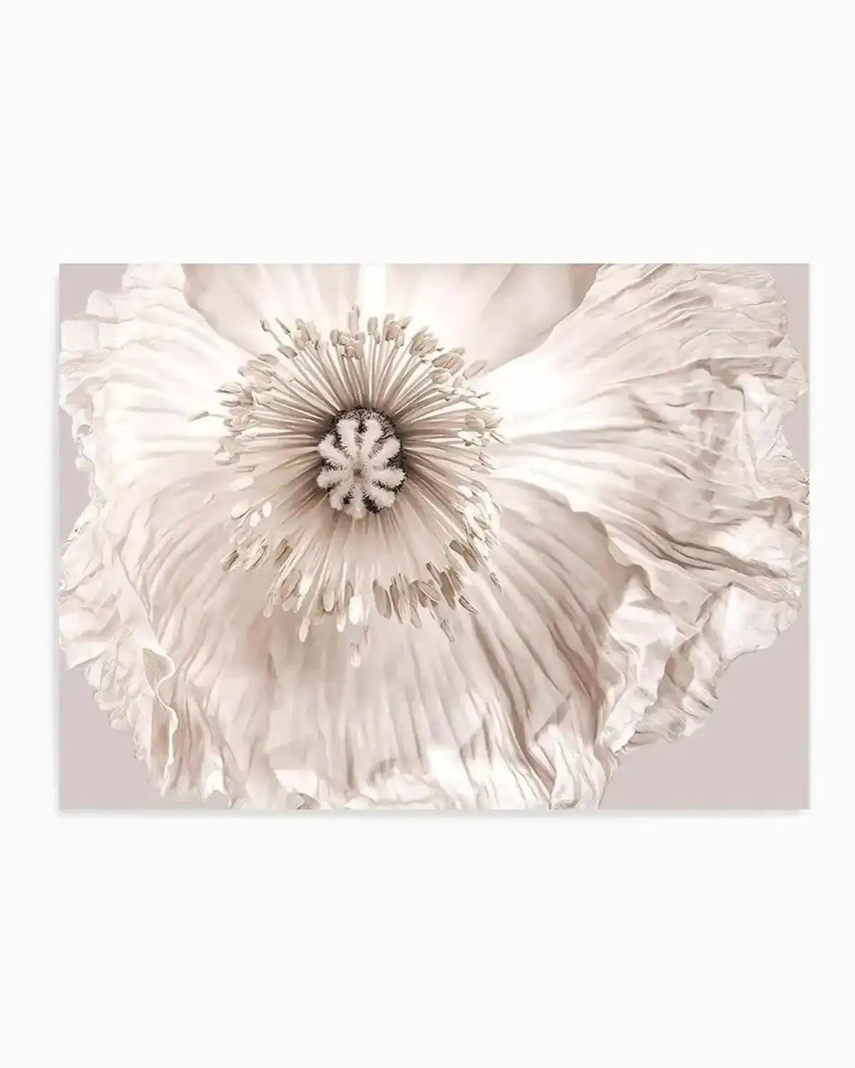 Poppy Lumiere Art Print from Olive et Oriel where you can shop wallpaper and artworks online