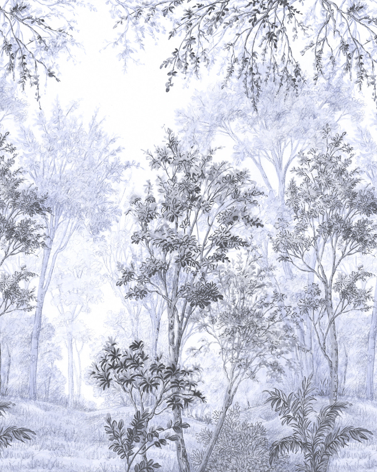 Wattle & Mist Panoramic Mural in Powder Blue & Slate Wallpaper