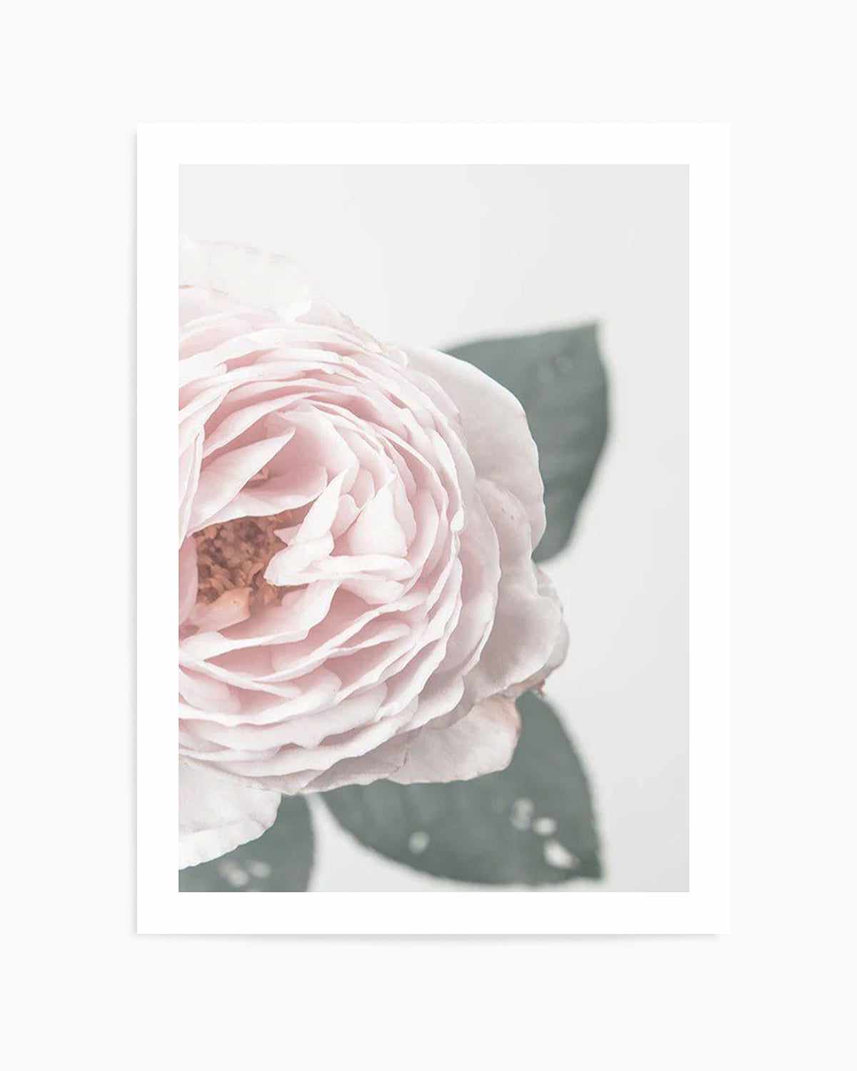 Pretty Little Thing I Art Print