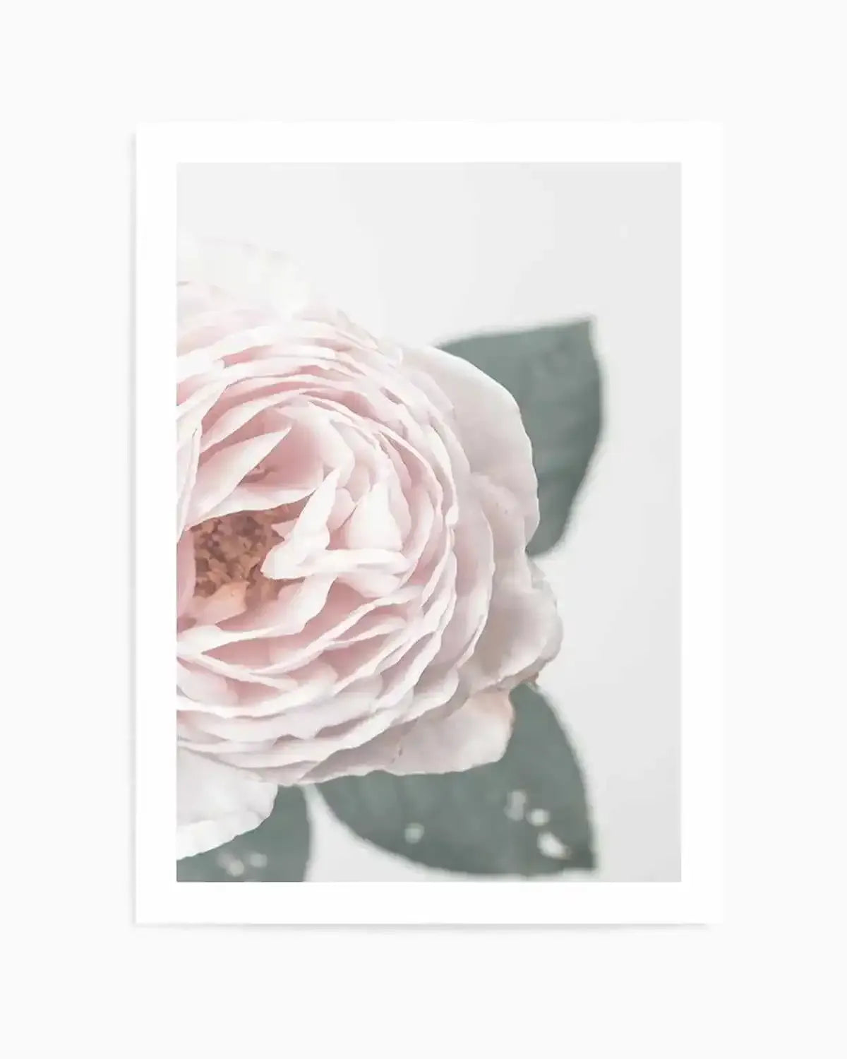 Pretty Little Thing I Art Print from Olive et Oriel where you can shop wallpaper and artworks online
