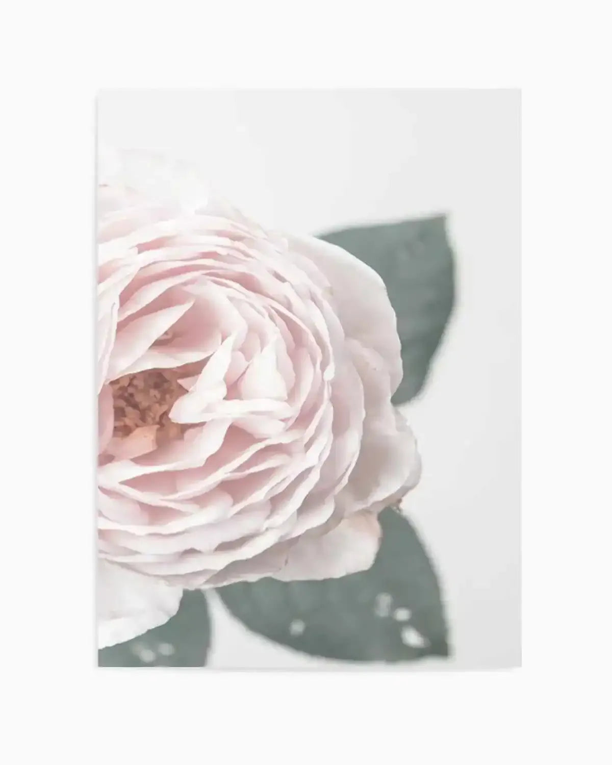 Pretty Little Thing I Art Print from Olive et Oriel where you can shop wallpaper and artworks online