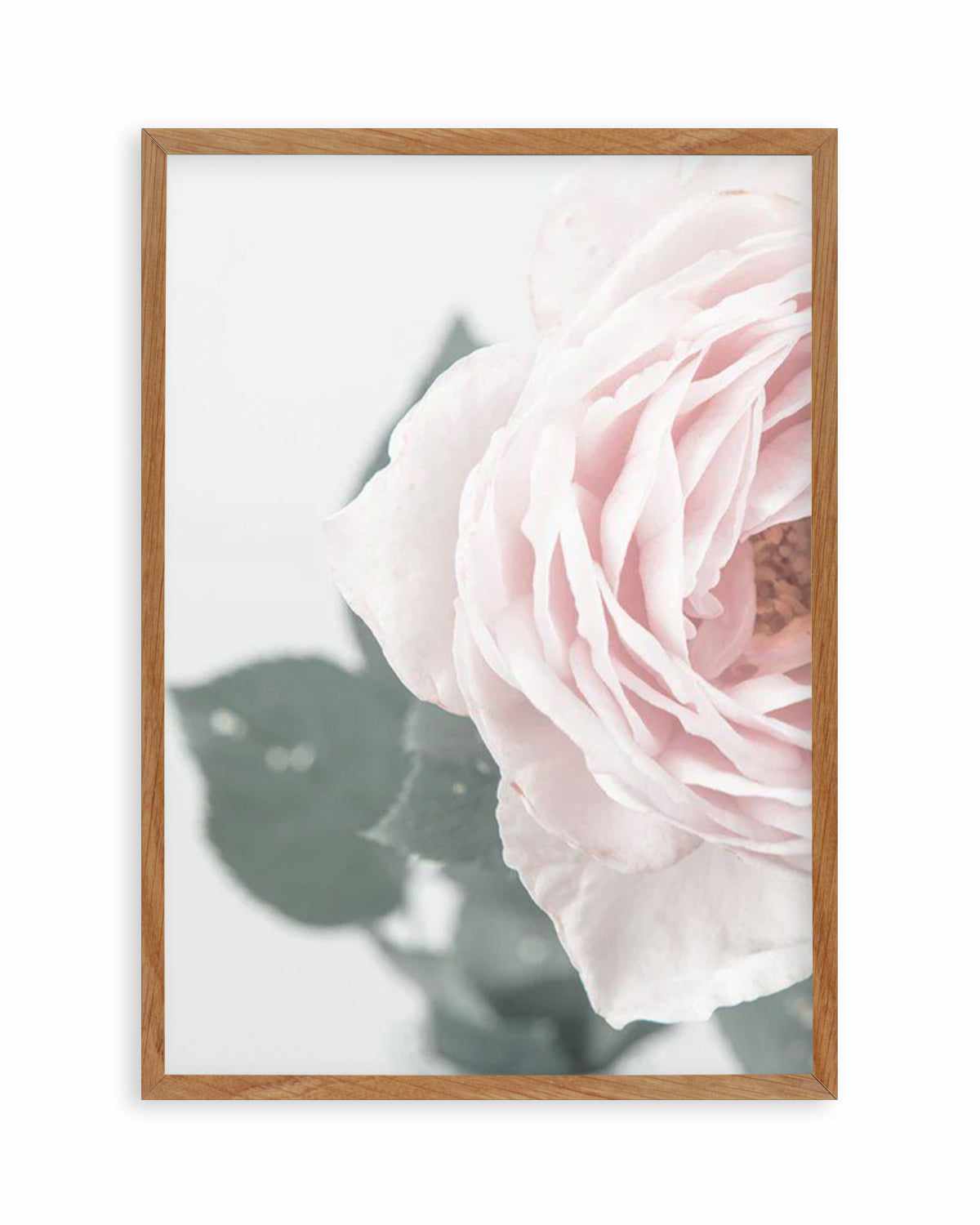 Pretty Little Thing II Art Print