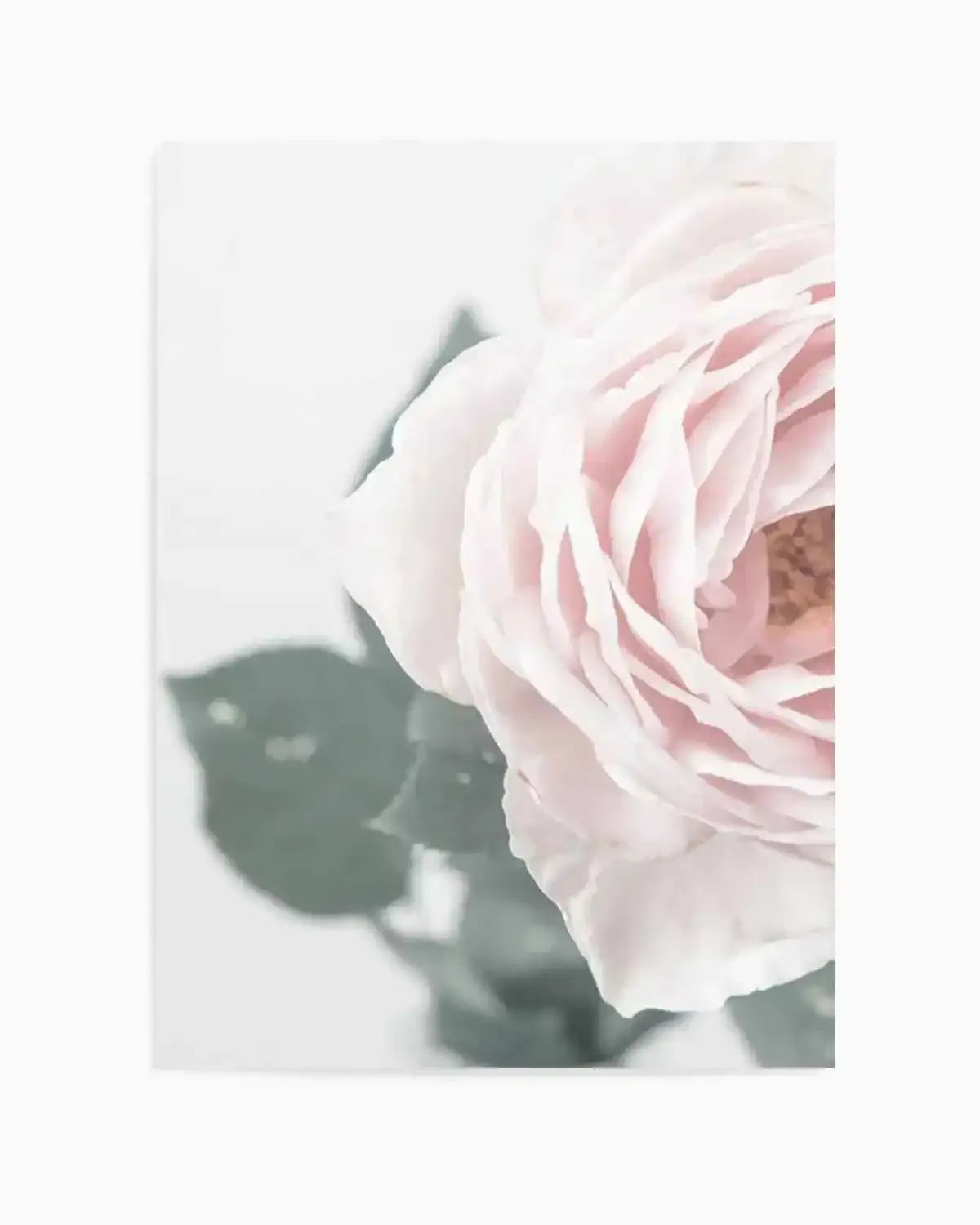 Pretty Little Thing II Art Print from Olive et Oriel where you can shop wallpaper and artworks online