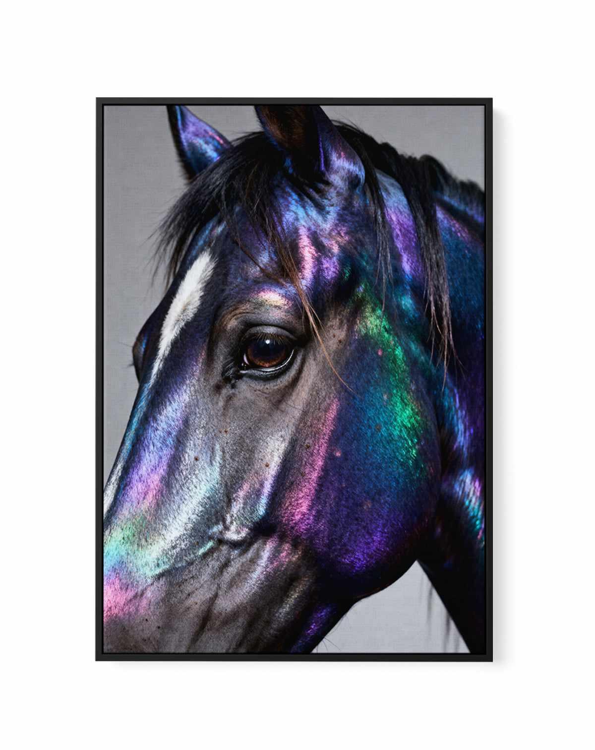 Prism Stallion | Framed Canvas Art Print from Olive et Oriel where you can shop wallpaper and artworks online