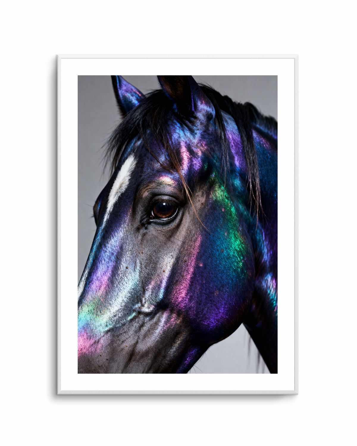 Prism Stallion | Art Print