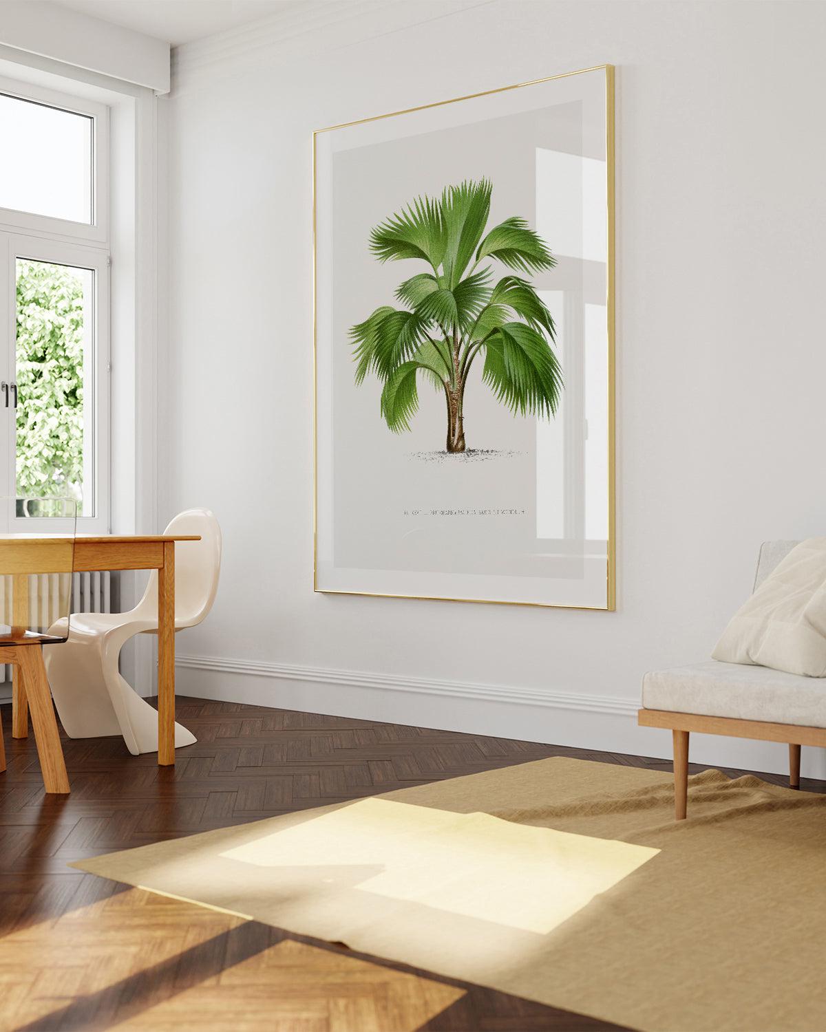 Pritchardia Pacifica Vintage Palm Poster Art Print