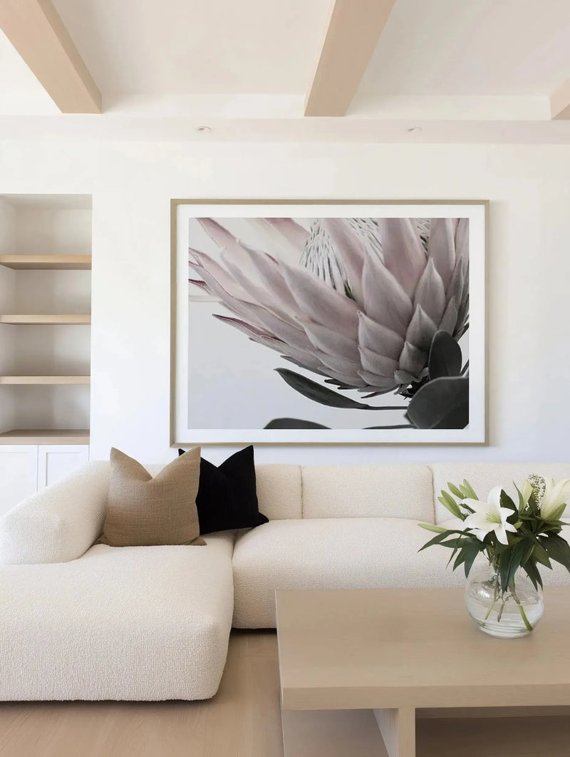 Large framed art print displayed above a curved white sofa in a minimalist living room. The print features a close-up photograph of a protea flower with dusty rose and pale pink petals, with a natural wood frame and white border. The room includes a textured cream sofa, a light wood coffee table with a vase of white lilies, and built-in shelving with light wood shelves.