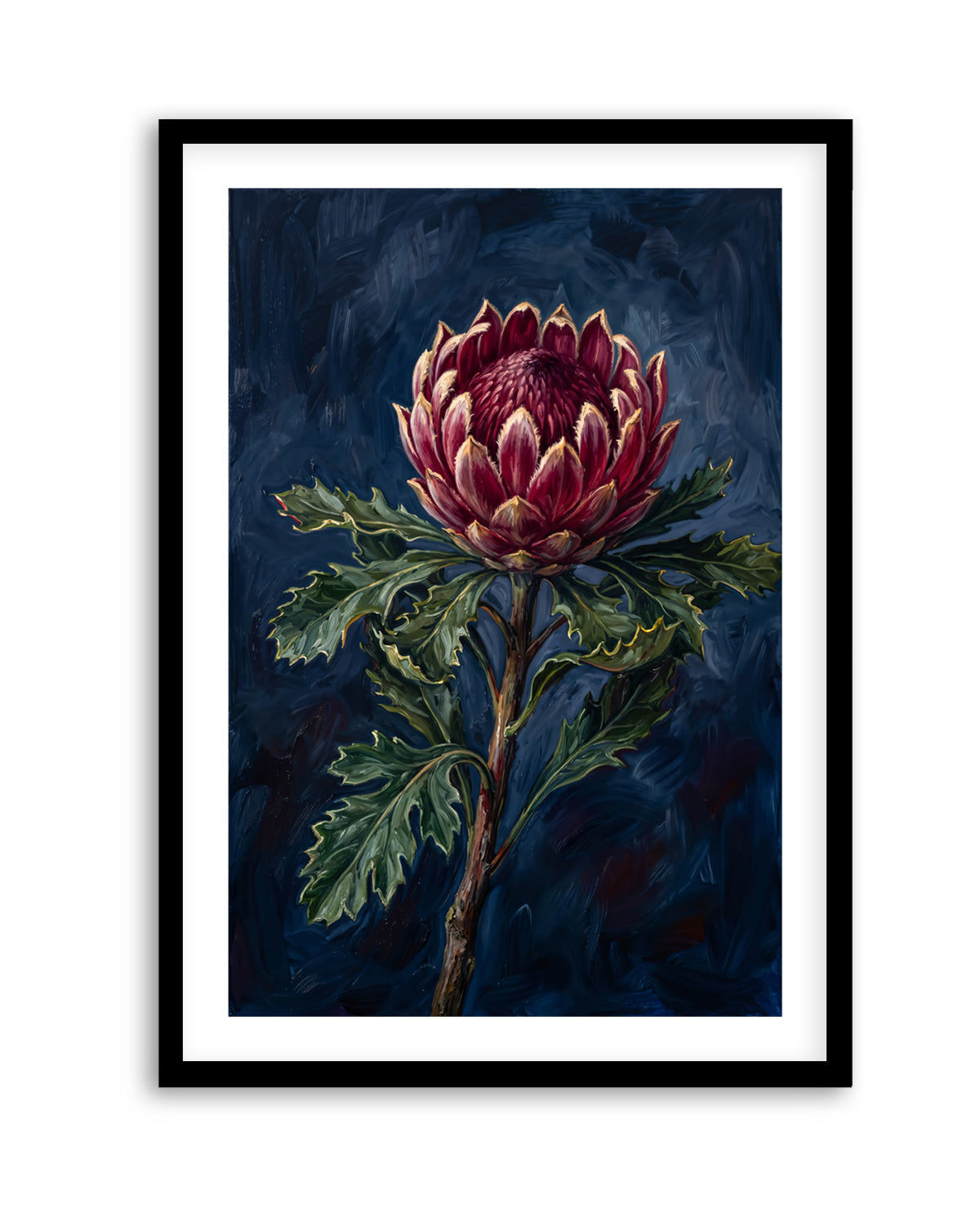 Protea Noir On Navy Botanicals Study | Art Print