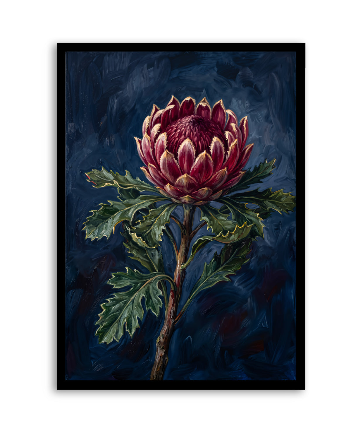 Protea Noir On Navy Botanicals Study | Art Print