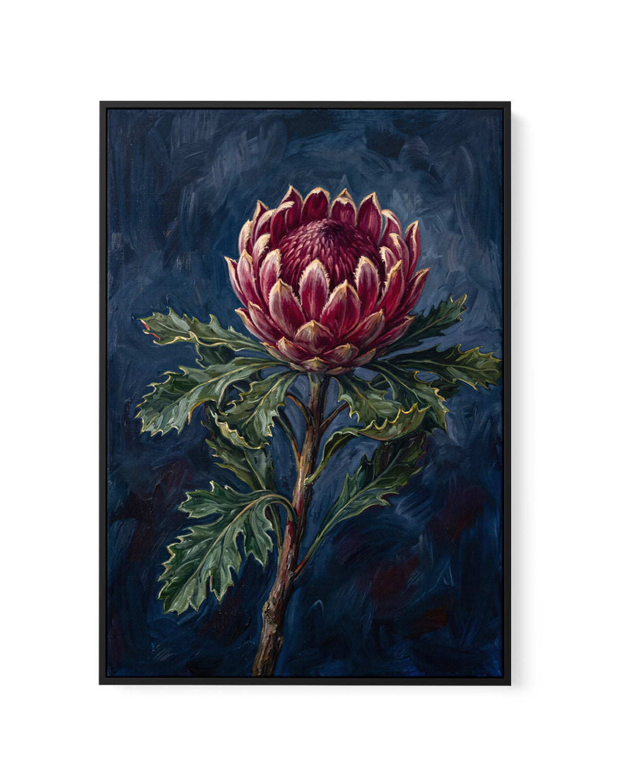 Protea Noir On Navy Botanicals Study | Framed Canvas Art Print