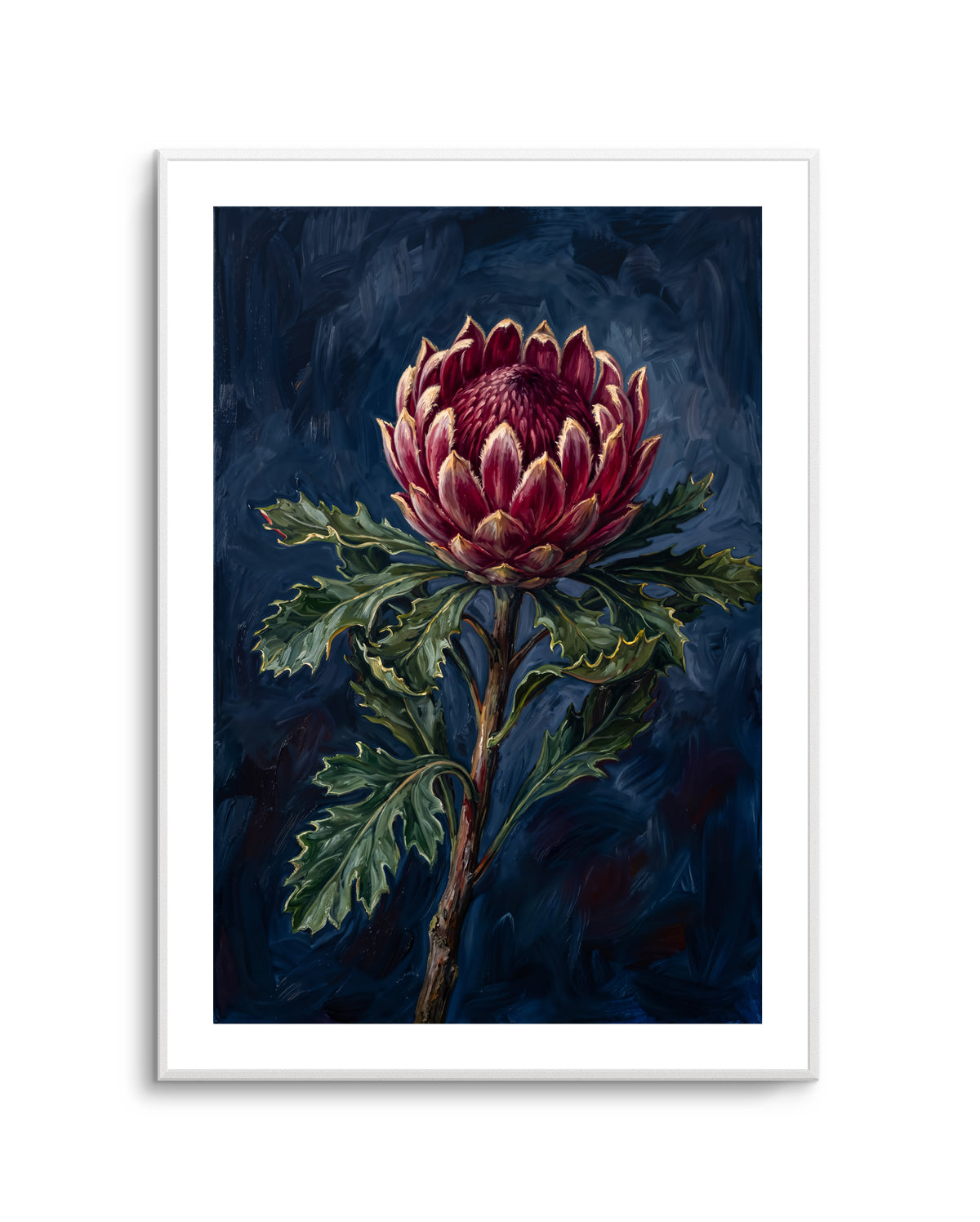 Protea Noir On Navy Botanicals Study | Art Print
