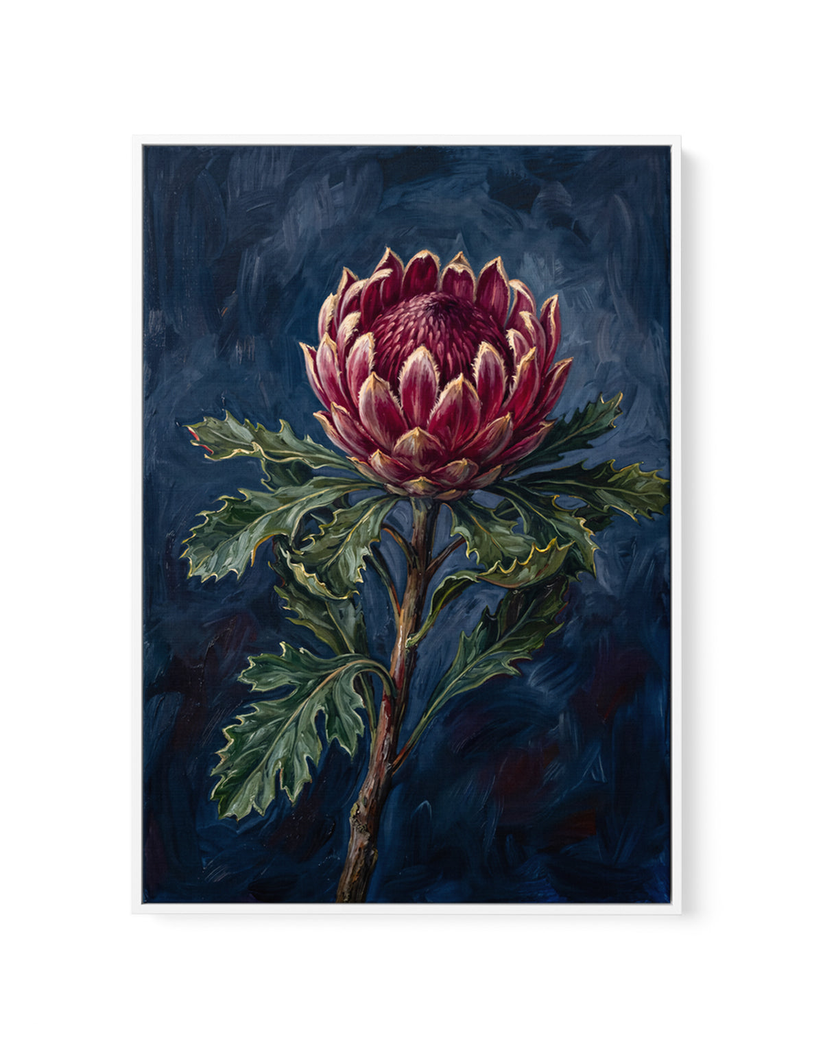 Protea Noir On Navy Botanicals Study | Framed Canvas Art Print