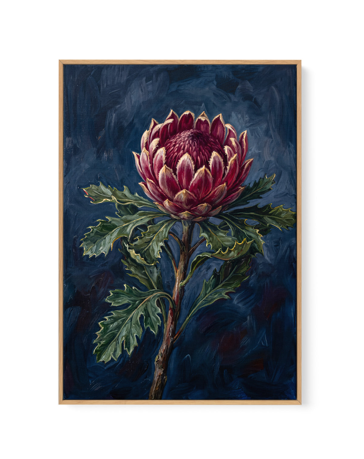 Protea Noir On Navy Botanicals Study | Framed Canvas Art Print