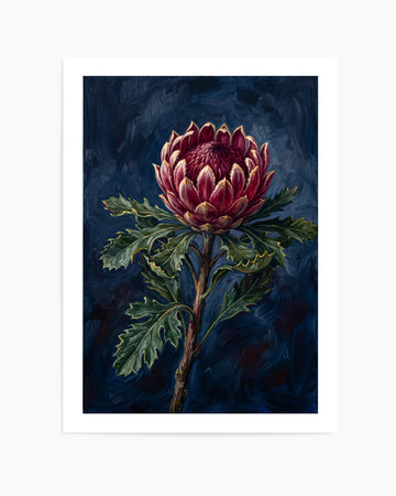 Protea Noir On Navy Botanicals Study | Art Print