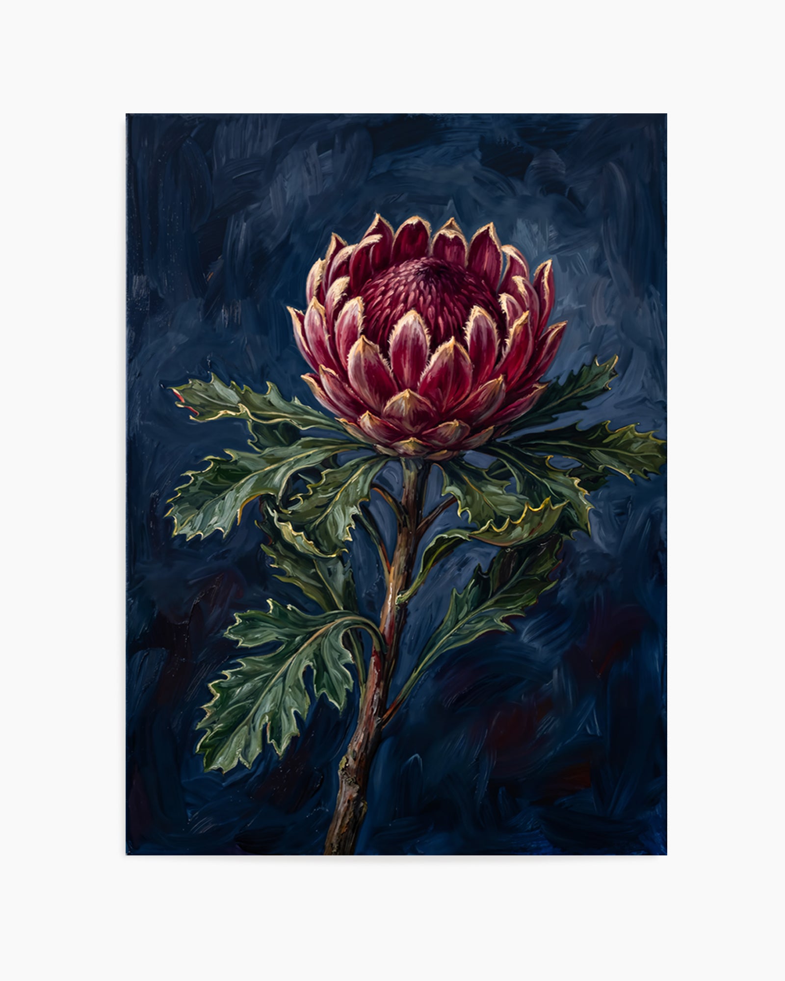 Protea Noir On Navy Botanicals Study | Art Print