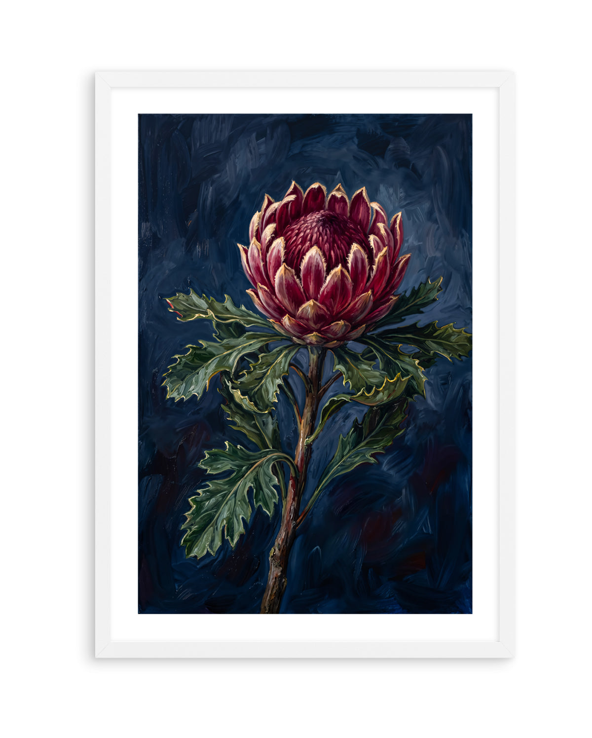 Protea Noir On Navy Botanicals Study | Art Print
