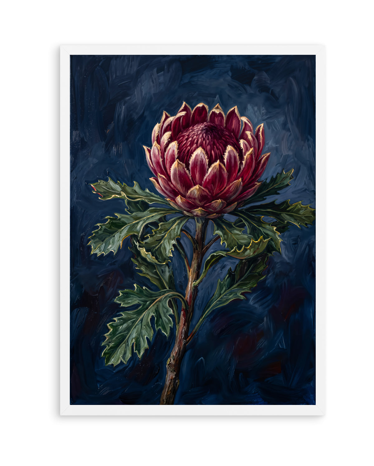 Protea Noir On Navy Botanicals Study | Art Print