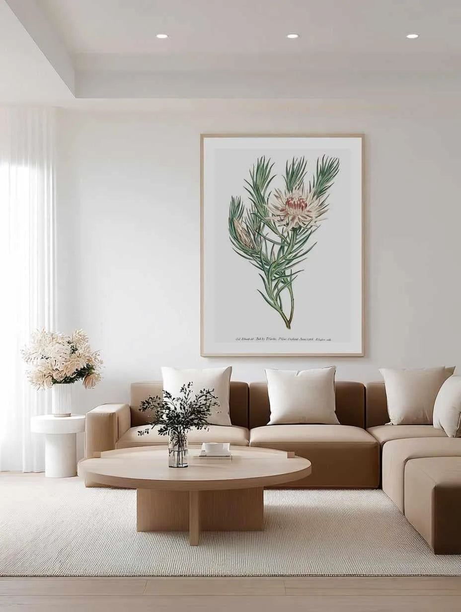 Protea Vintage Illustration Art Print from Olive et Oriel where you can shop wallpaper and artworks online
