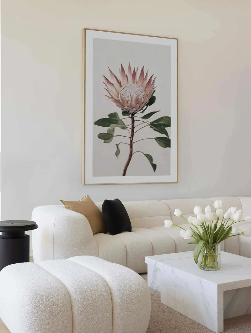 Framed art print of a single protea flower with dusty rose petals and pale center, displayed on a cream linen sofa in a minimalist living room. The botanical illustration features green leafy stem against a soft gray background, presented in a natural wood frame with white border. White tulips in a glass vase sit on a marble-top table beside the sofa, echoing the artwork's botanical theme.