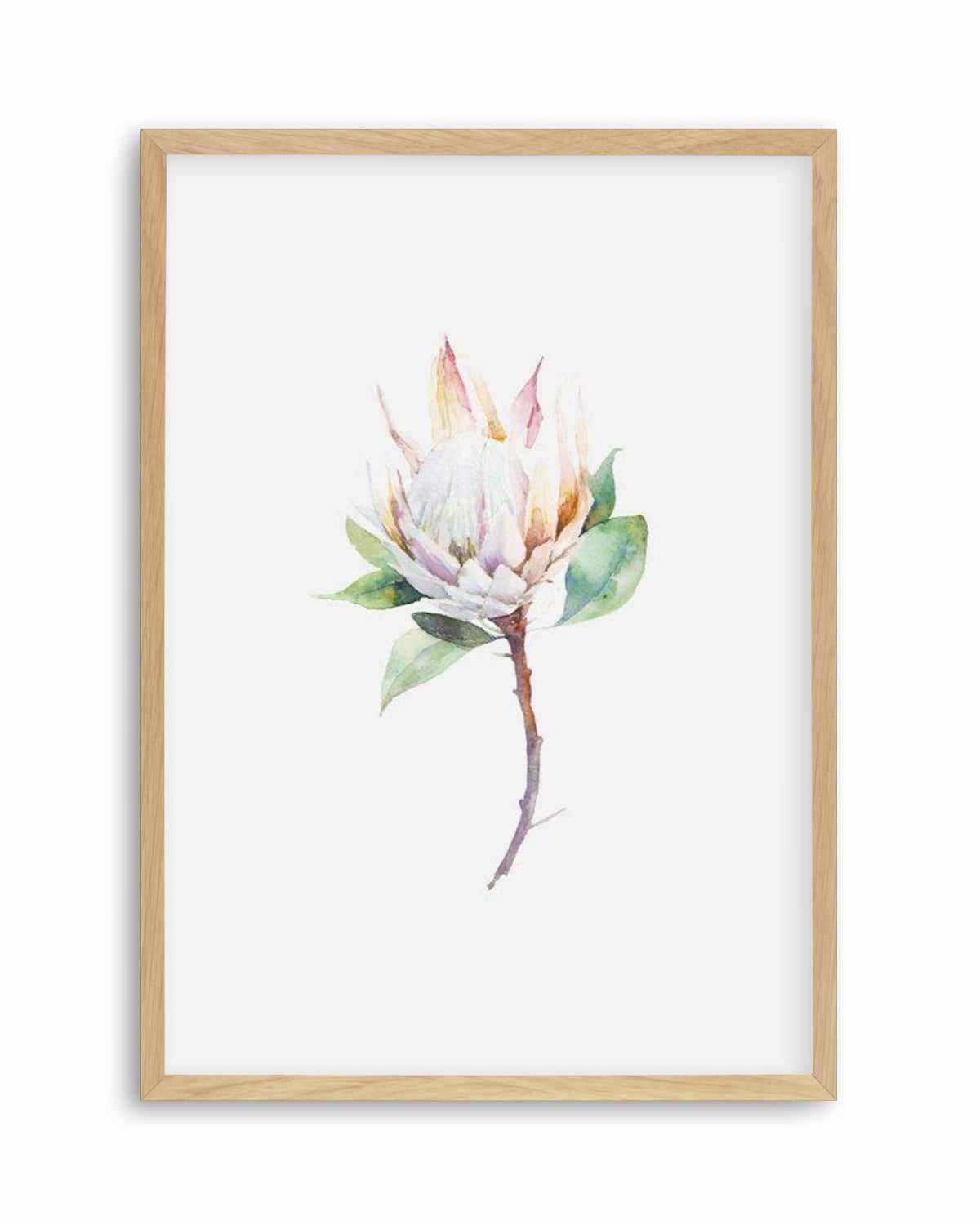 Protea in Watercolour Art Print