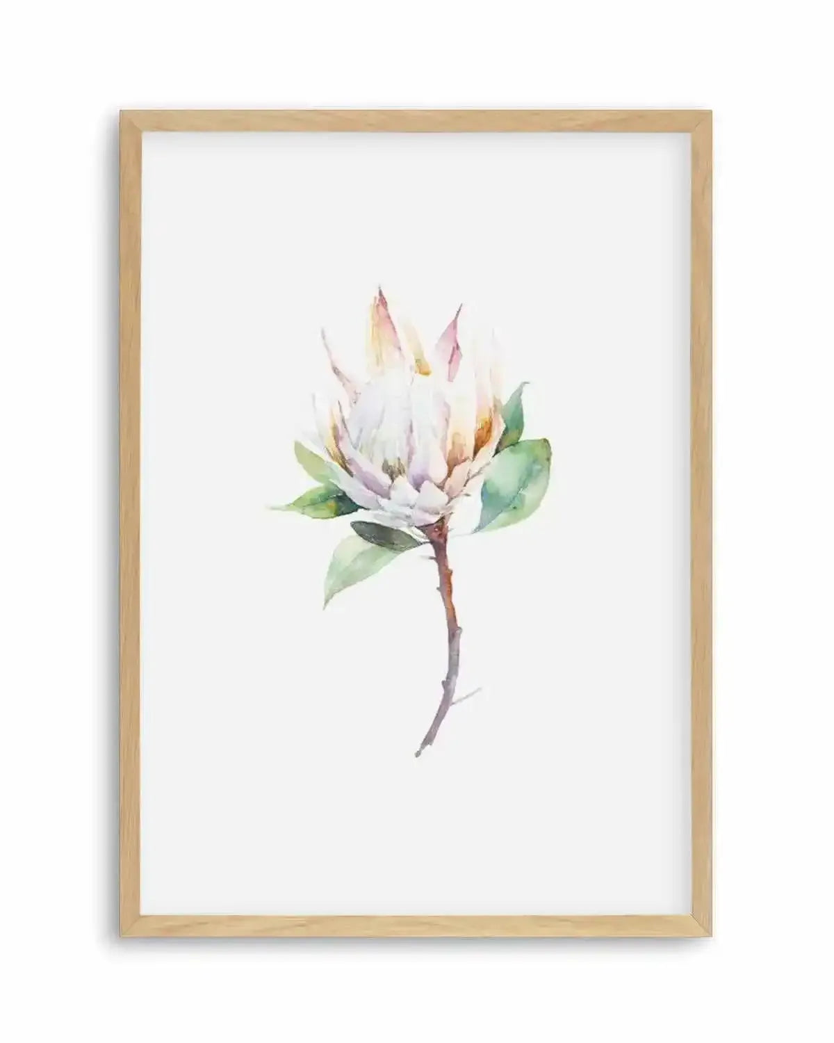 Protea in Watercolour Art Print from Olive et Oriel where you can shop wallpaper and artworks online