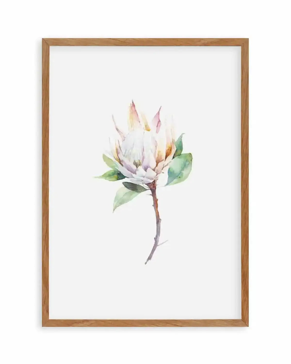 Protea in Watercolour Art Print from Olive et Oriel where you can shop wallpaper and artworks online